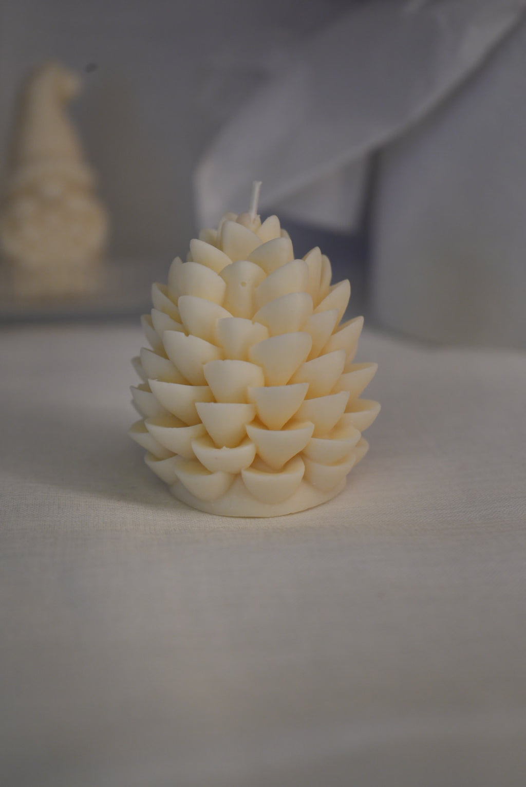 Tannenzapfen‘🌨️